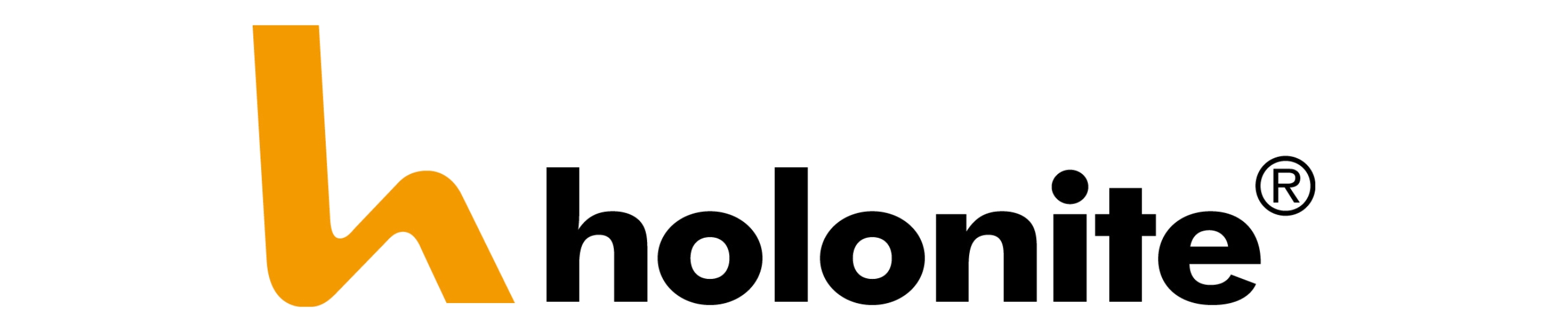 Holonite