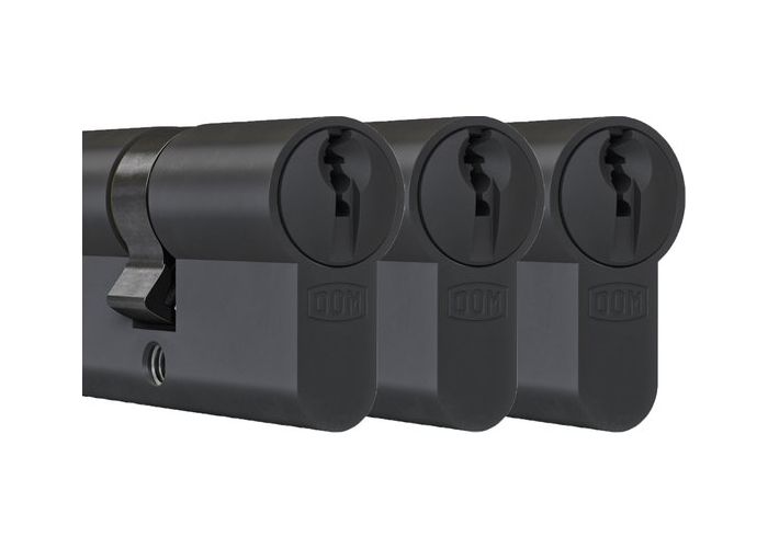 Dom profielcilinderset plura skg** 30/30 zwart set a 3 stuks gelijksluitend