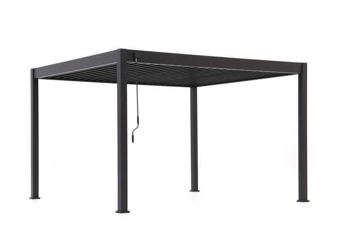 CarpGarant premium overkapping antraciet incl handmatig alu. kanteldak 300x400cm