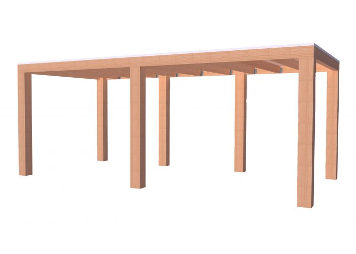Overkapping douglas excellent 300x500cm