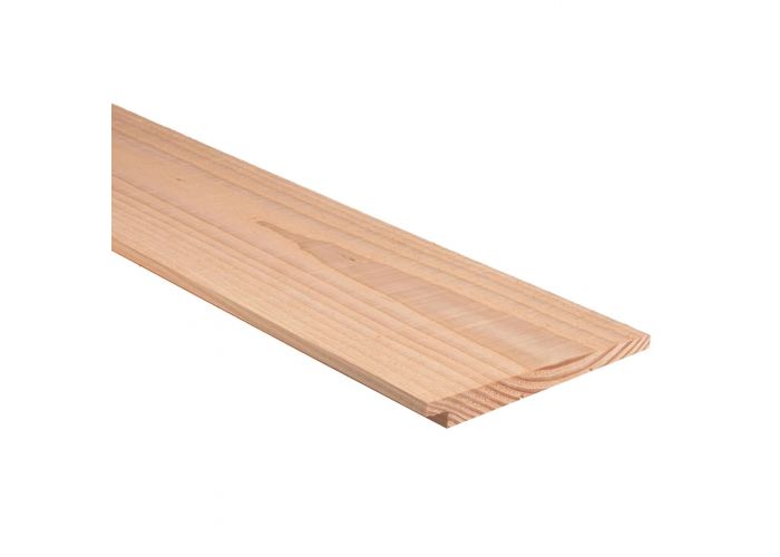 Achterwand kapschuur douglas Zweeds 500cm