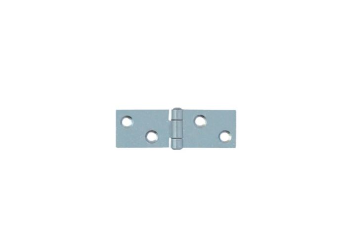 Axa klepscharnier 60x20mm 11082022/0w