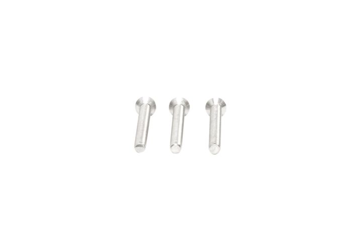Axa patentbout rvs m6x70mm set a 3 stuks