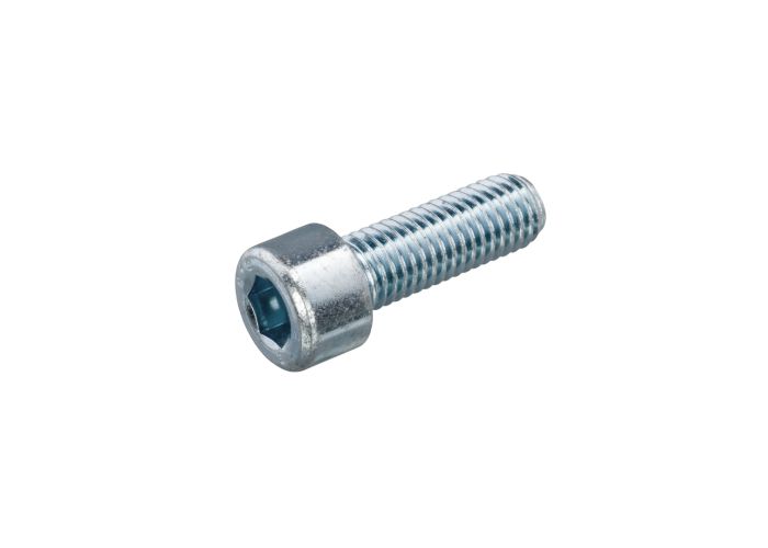 Binnenzeskantbout vz pk din 7991 8.8 m 4 x 10 mm