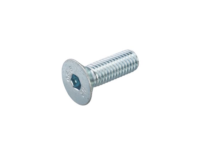 Binnenzeskantbout vz pk din 7991 8.8 m 5 x 12 mm