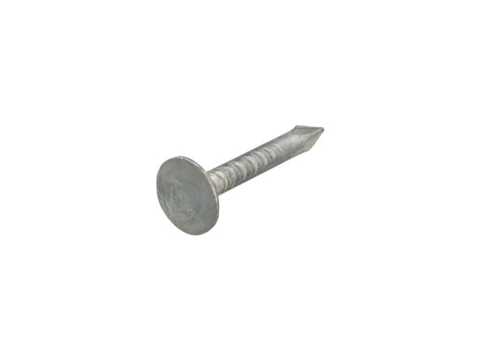 Asfaltnagels verzinkt 3,0x15 mm100 gram