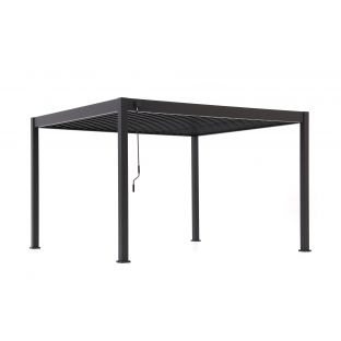 CarpGarant premium overkapping antraciet incl handmatig alu. kanteldak 300x400cm