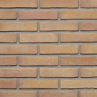 Gevelsteen beigerood vb wf speciaal cs05998