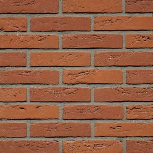 Gevelsteen roodbruin genuanceerd hf cs53015