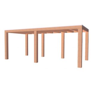 Overkapping douglas elegant 300x500cm