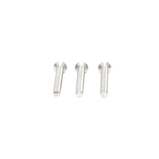 Axa patentbout rvs m6x70mm set a 3 stuks