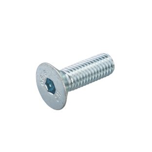 Binnenzeskantbout vz pk din 7991 8.8 m 10 x 30 mm