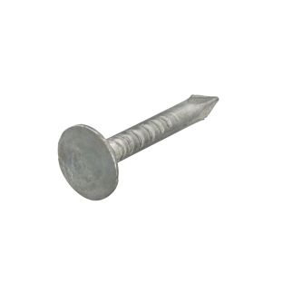 Asfaltnagel verzinkt 3.0 x 20 mm 1000 gram