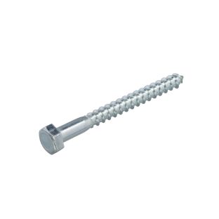 Proftec houtdraadbout vz 4.6 sw-17 din571 10x80   (25)