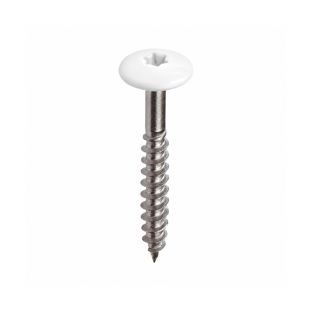 Kleurkop schroef ral 9016 4,8x38mm