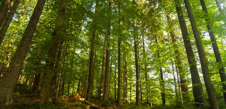 Duurzaamheid in bouwmaterialen